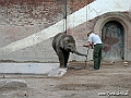 KBH zoo 190703 420